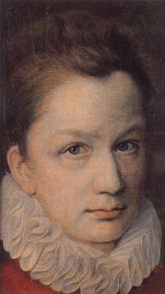 DUMOUSTIER, Pierre Portrait of a Youth oil painting picture